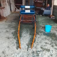 finamento e calesse per pony