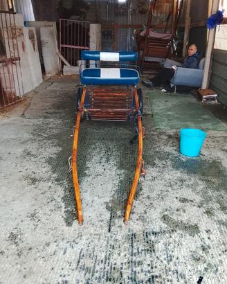 finamento e calesse per pony