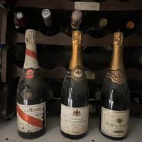 Champagne e vini da collezione