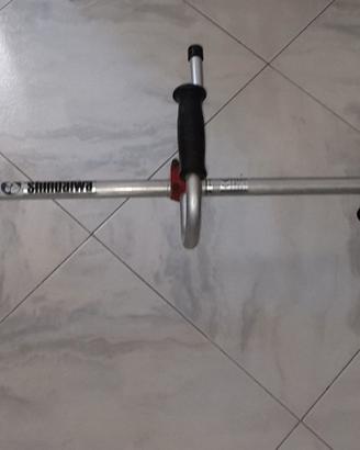 Decespugliatore Shindaiwa 230