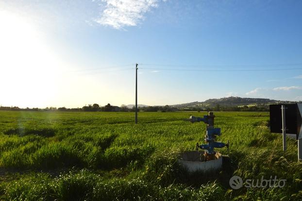 Terreno irriguo in zona pianeggiante