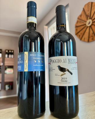 Siro pacenti v.v. 2016  / poggio ai merli 2019