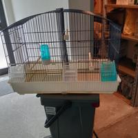 Gabbia per uccellini