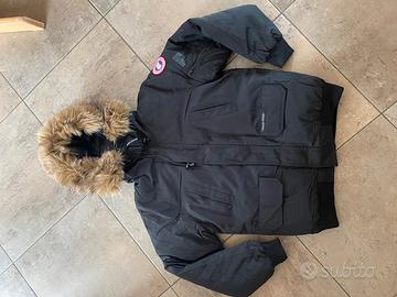 canada goose