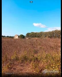 Terreno agricolo + rudere / su pranu sant'antioco
