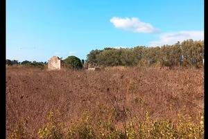 Terreno agricolo + rudere / su pranu sant'antioco