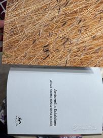 Libro di Antonella Scialdone