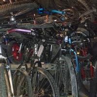 bici grandi 