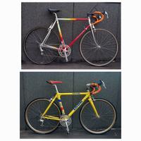 Bici da corsa colnago look campagnolo