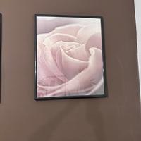 Due Poster con cornici