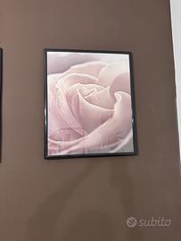 Due Poster con cornici