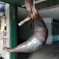 Mamrmitta Leo Vince per am6