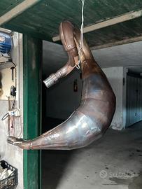 Mamrmitta Leo Vince per am6