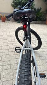 Bici a pedalata assistita