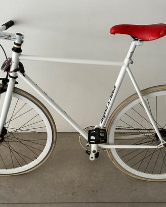 Bici scatto fisso/ Normale