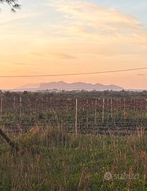 Terreno panoramico con vista delle Egadi ed Erice)