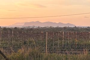 Terreno panoramico con vista delle Egadi ed Erice)