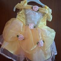 vestito carnevale belle