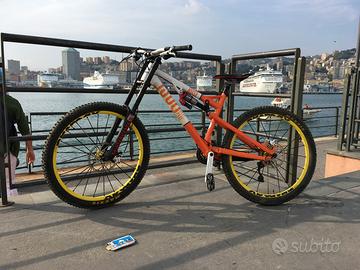 Rose beef cake 27,5”