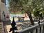 Immagine 24