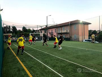 Feste e grigliate al Free Time