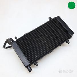 Radiatore acqua MOTO MORINI X-Cape 650
