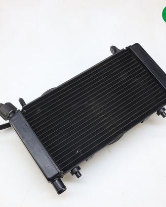 Radiatore acqua MOTO MORINI X-Cape 650
