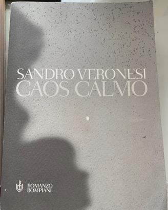 Caos Calmo