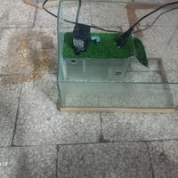 Acquario per tartarughe 