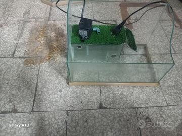 Acquario per tartarughe 