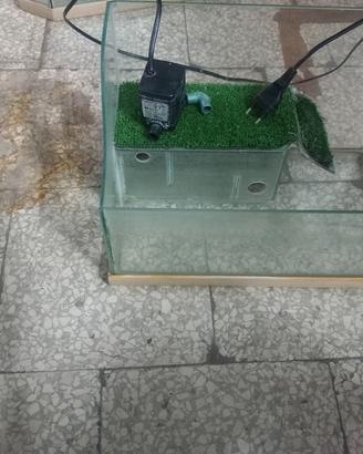 Acquario per tartarughe 