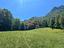Immagine 25