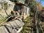 Immagine 28