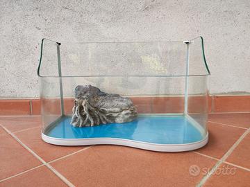 Acquario tartarughe
