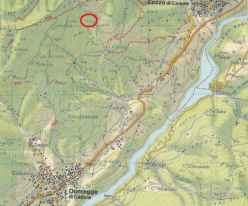 Rustico Fienile Baita Cadore Dolomiti bosco - Vista 4