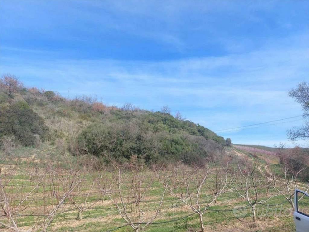 Immobile in asta di 51760 m² a Altomonte - Vista 4