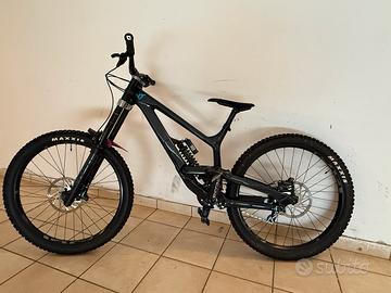 YT tues 2023