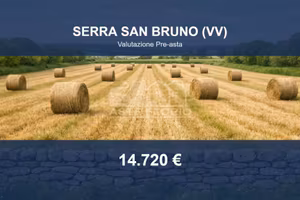 Immobile in asta di 500 m² a Serra San Bruno
