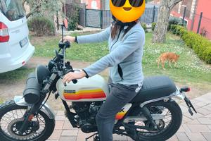 Brixton Cromwell 125 Sk8 limited edition 