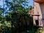 Immagine 14