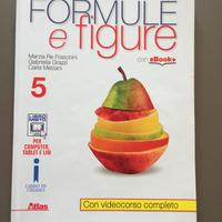 Libro di matematica Formule e figure (Vol.5)