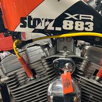 Harley Davidson Sportster 883 STORZ