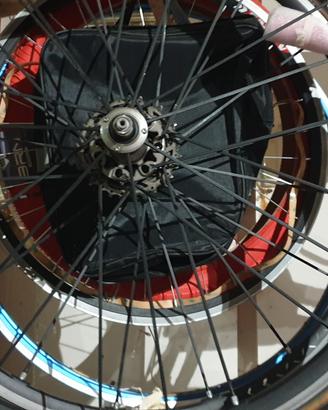ruote campagnolo