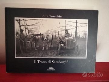 iL Trono di Sambughé