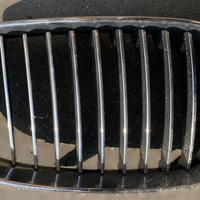 GRIGLIA ANTERIORE BMW Serie 1 Serie (E87) N47D20A