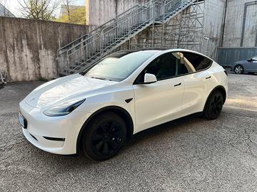 Tesla Model Y Long Range Dual Motor
