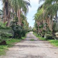 Terreno Agricolo Ragusa [Cod. rif 3278758VRG]