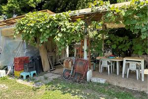 LOTTO DI TERRENO AGRICOLO DI M2 1600,00