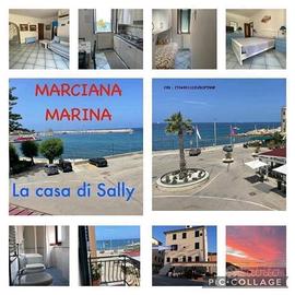 Vacanze 2026 a Marciana Marina Isola d'Elba