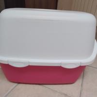 toilette per cani/gatti